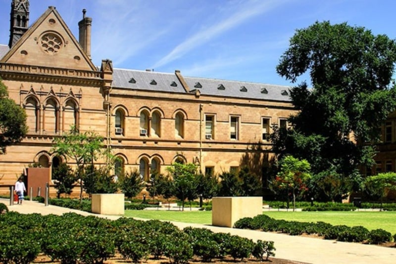 School media preview